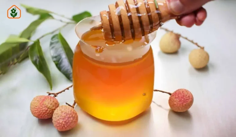 লিচু ফুলের মধুর উপকারিতা